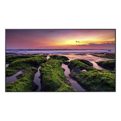 Pantalla LED Profesional / 65 Pulgadas / UHD 4K 3840x2160 / Operación 16/7 / Wi-Fi Dual Band / Bocinas 10 W / VESA 400x300 mm